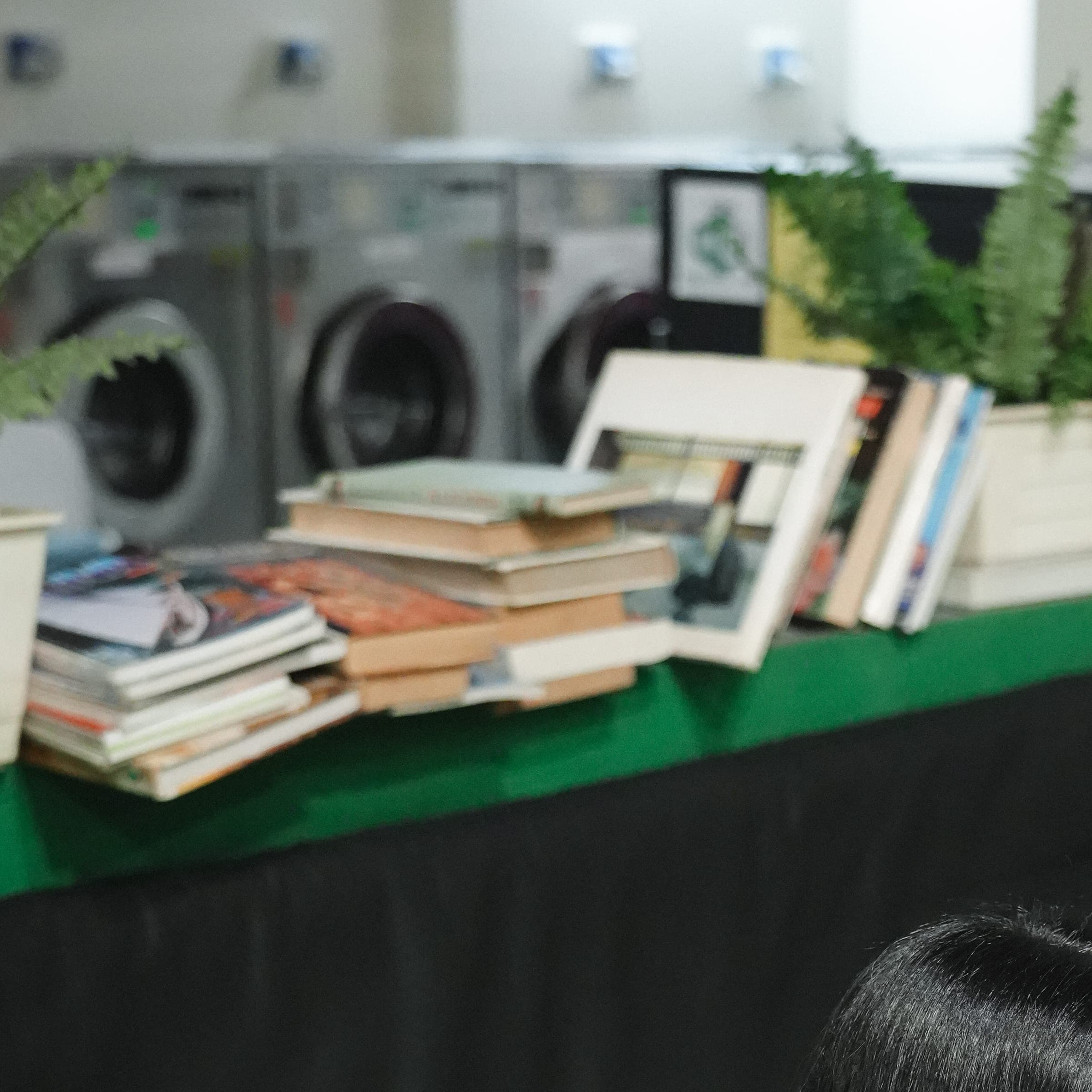 Libri e piante sulla mensola verde della lounge, con le lavatrici sullo sfondo